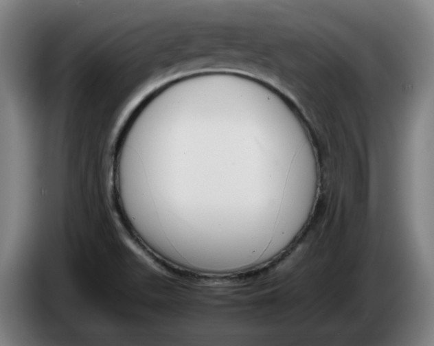 X0000086241511200704191810