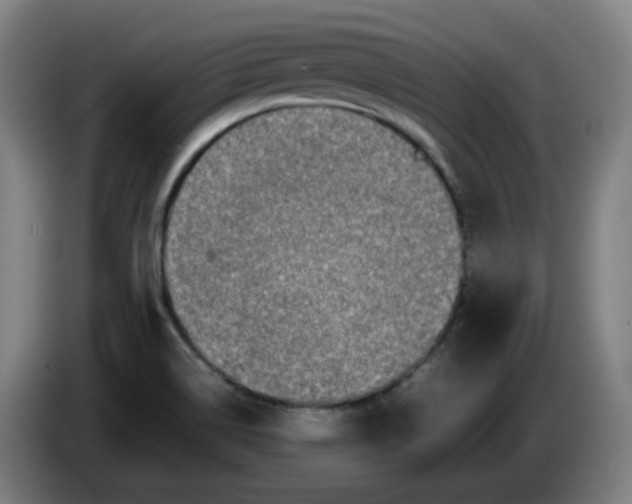 X0000086241514200704191810