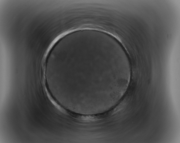 X0000086241515200704191810