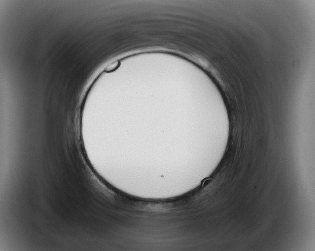 X0000086241516200704191810