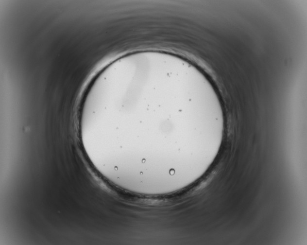 X0000086241517200704191810
