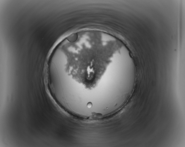 X0000086241522200704191810