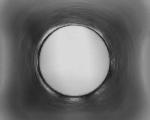 X0000086241523200704191810