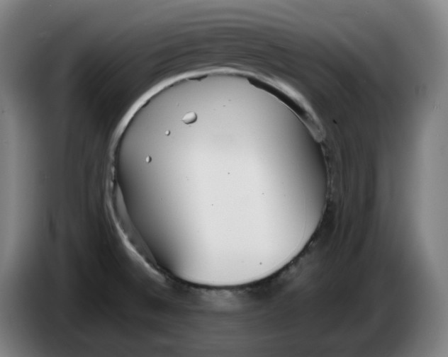 X0000086241524200704191810