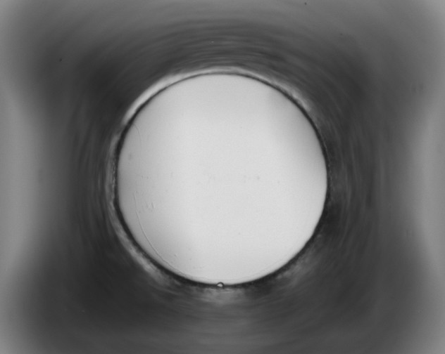 X0000086241526200704191810