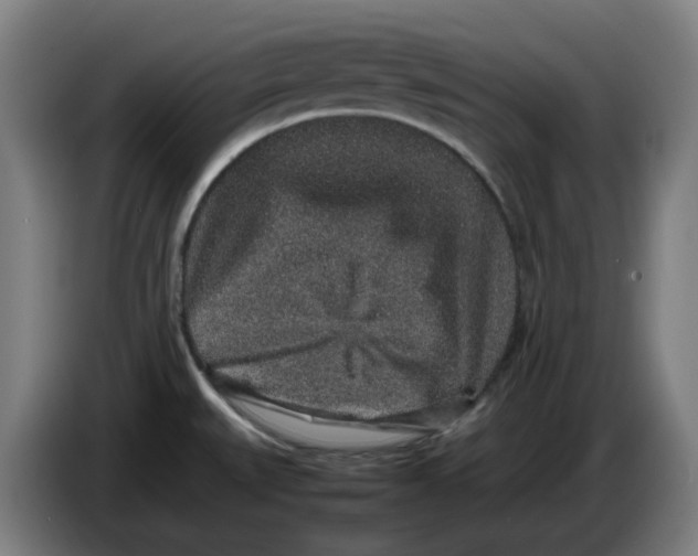 X0000086241527200704191810