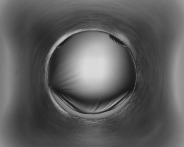 X0000086241528200704191810
