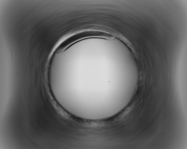 X0000086241530200704191810