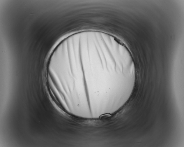 X0000086241531200704191810