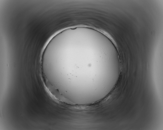 X0000086241532200704191810
