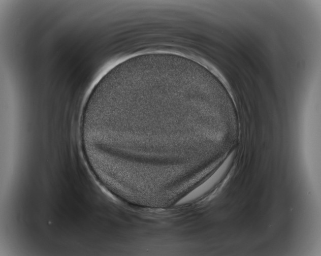 X0000086241533200704191810