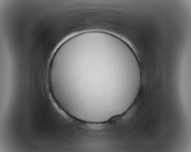 X0000086241534200704191810