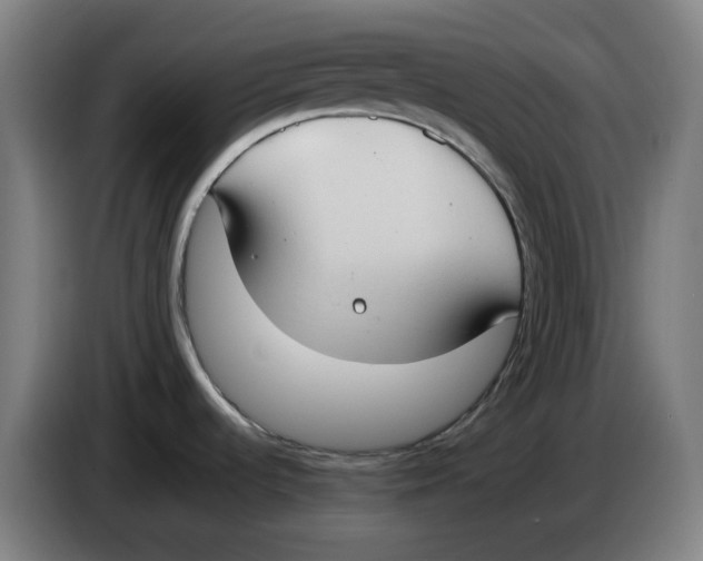 X0000086241536200704191810