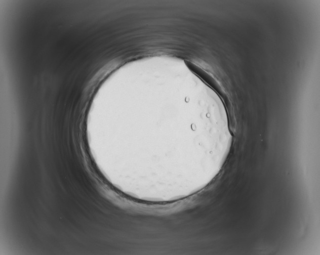 X0000086240001200704261925