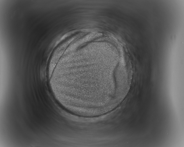 X0000086240002200704261925