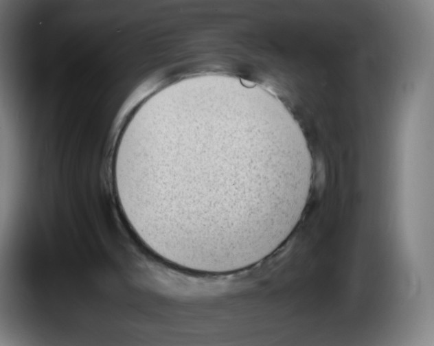 X0000086240004200704261925