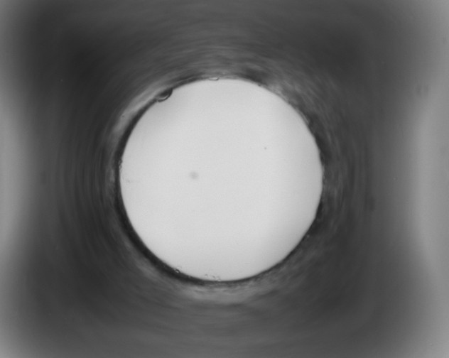X0000086240005200704261925