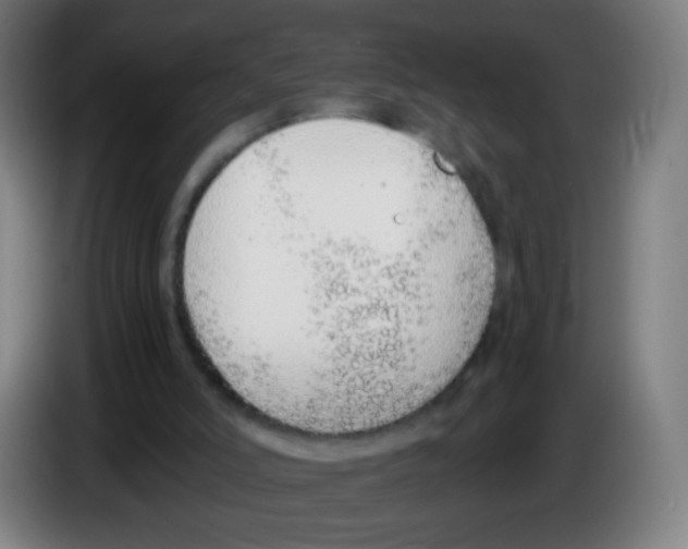 X0000086240006200704261925