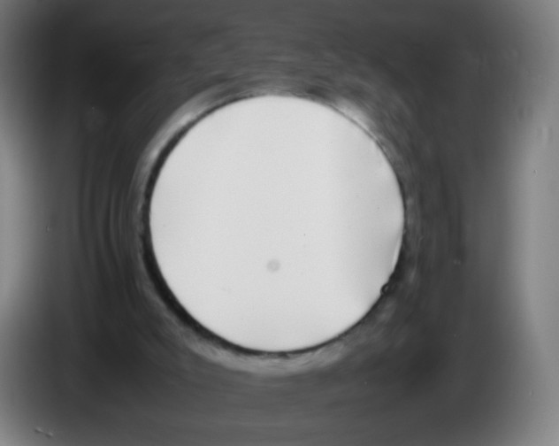 X0000086240007200704261925