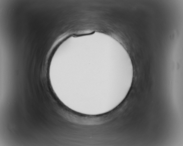 X0000086240008200704261925