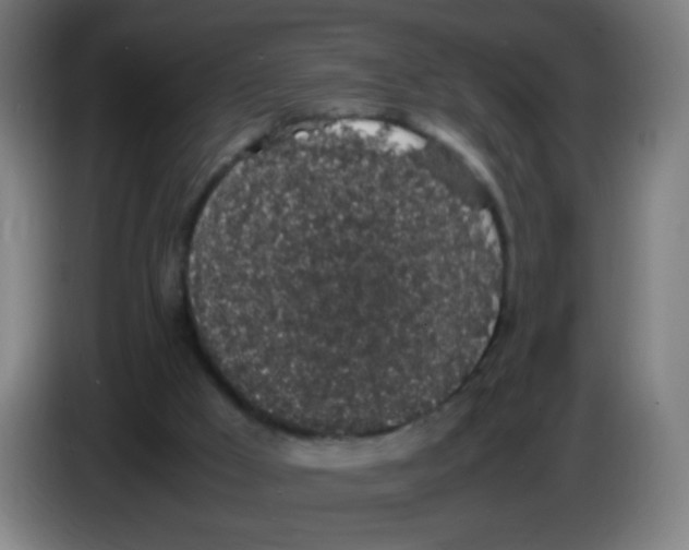 X0000086240009200704261925