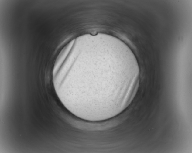 X0000086240010200704261925