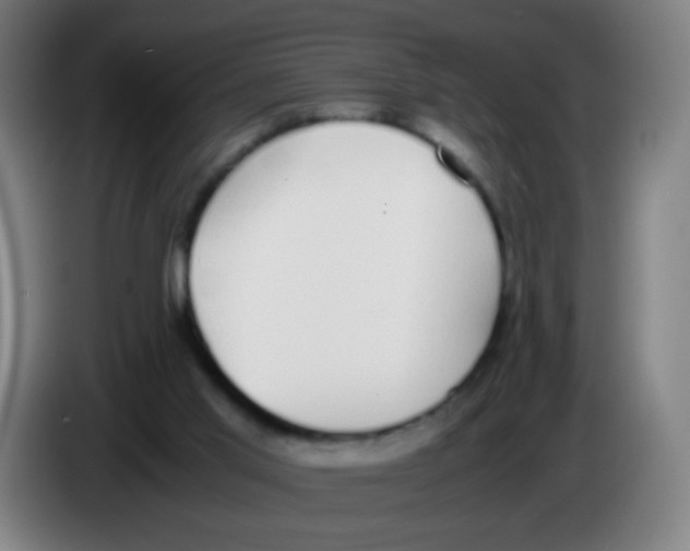 X0000086240013200704261925