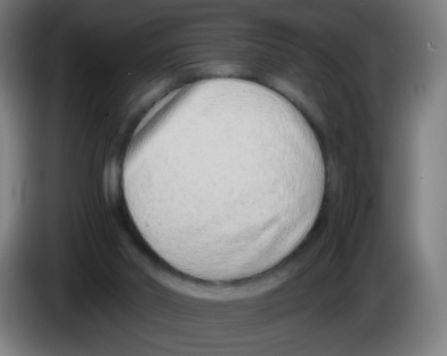 X0000086240014200704261925