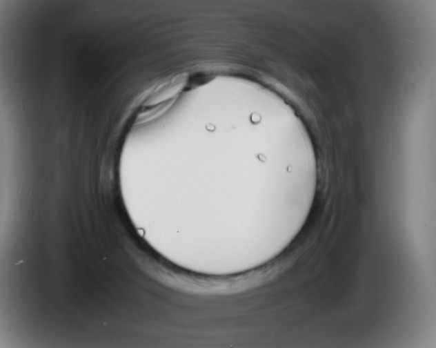 X0000086240015200704261925