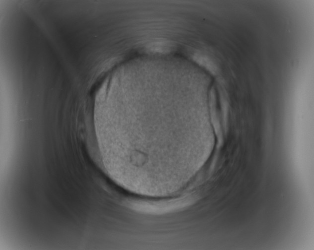 X0000086240017200704261925