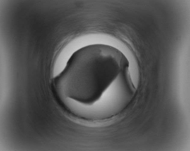 X0000086240019200704261925