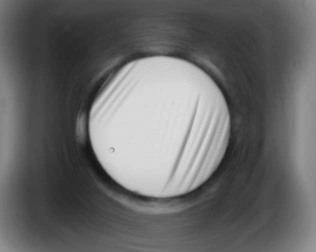 X0000086240020200704261925