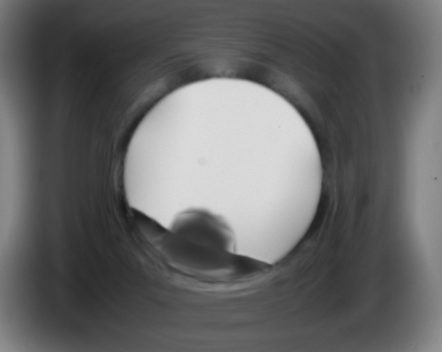 X0000086240023200704261925