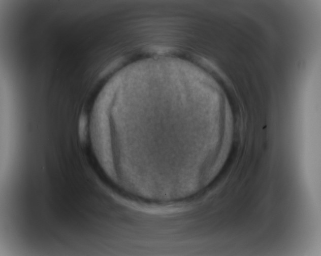 X0000086240024200704261925