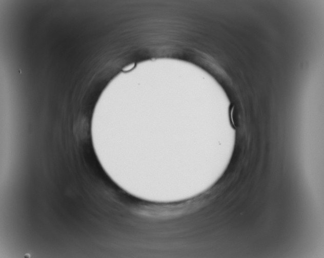 X0000086240025200704261925