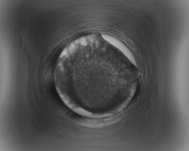 X0000086240029200704261925