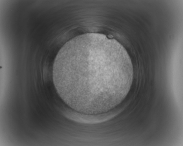 X0000086240030200704261925