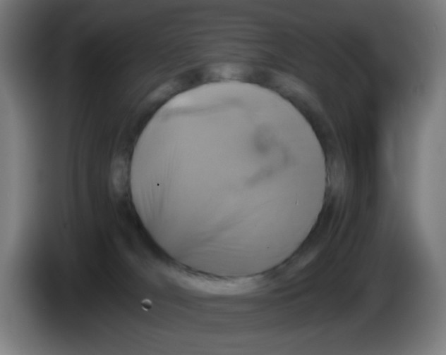 X0000086240036200704261925