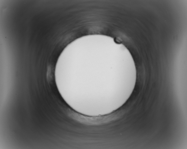 X0000086240038200704261925