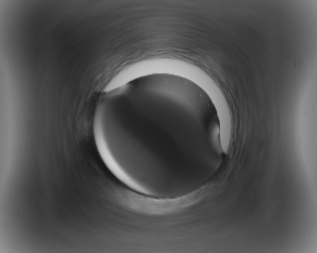 X0000086240039200704261925
