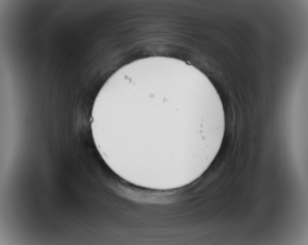 X0000086240040200704261925