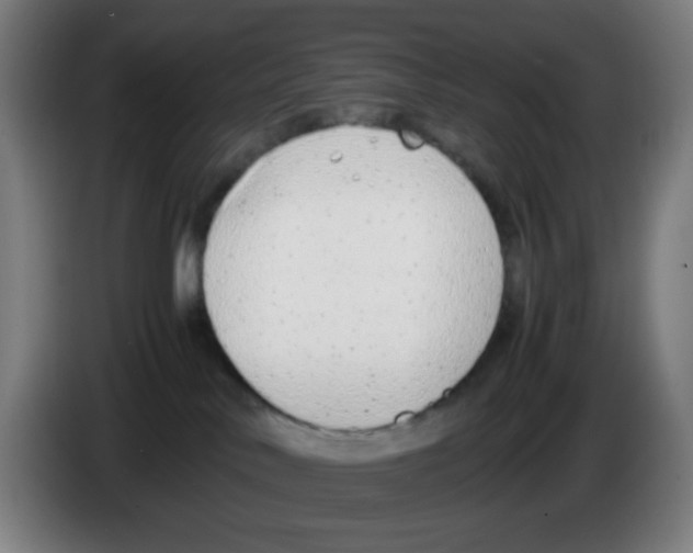 X0000086240042200704261925