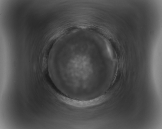 X0000086240043200704261925