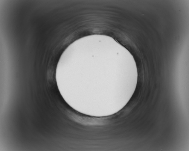 X0000086240044200704261925
