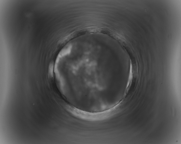X0000086240047200704261925