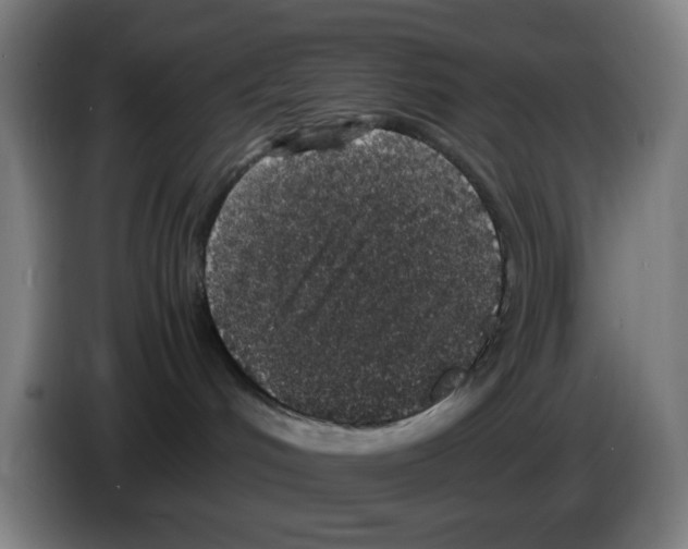 X0000086240048200704261925