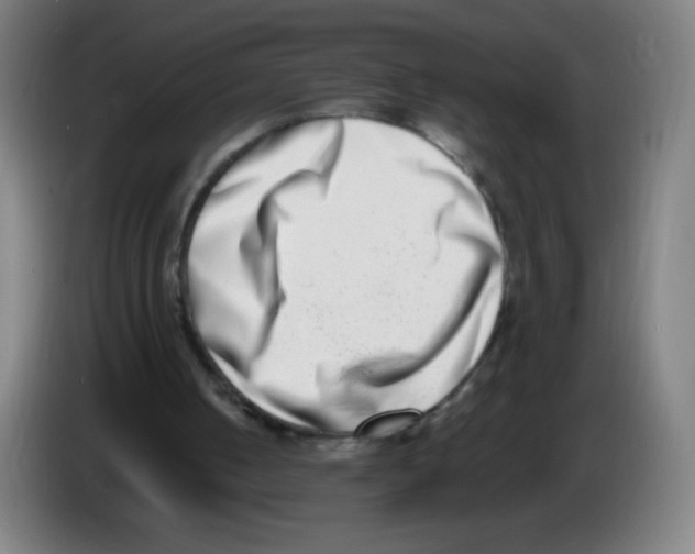 X0000086240050200704261924