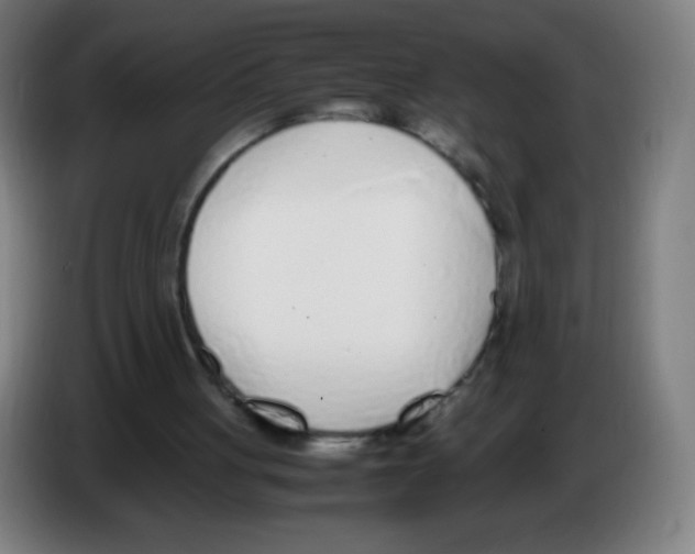 X0000086240051200704261924