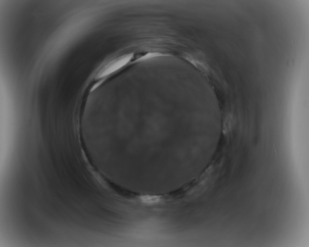 X0000086240052200704261924