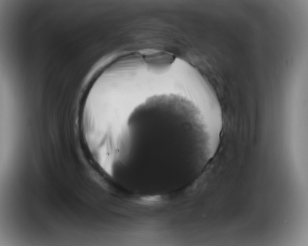 X0000086240054200704261924